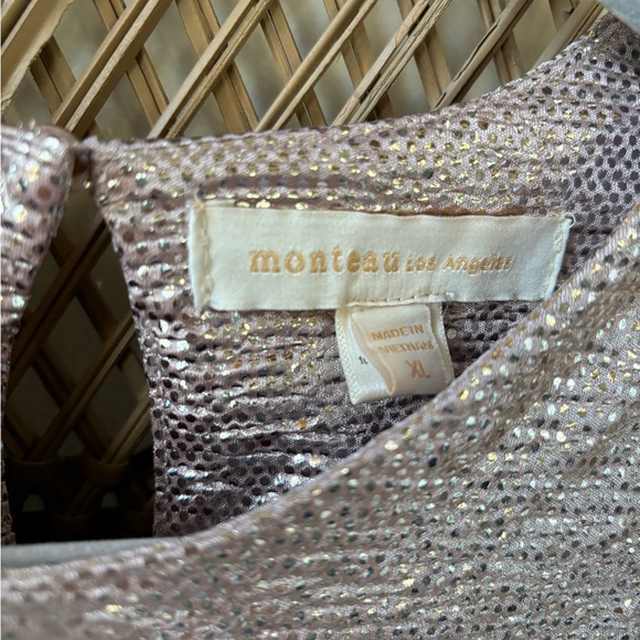 Monteau Shiny Silver Blouse - Picture 4 of 4